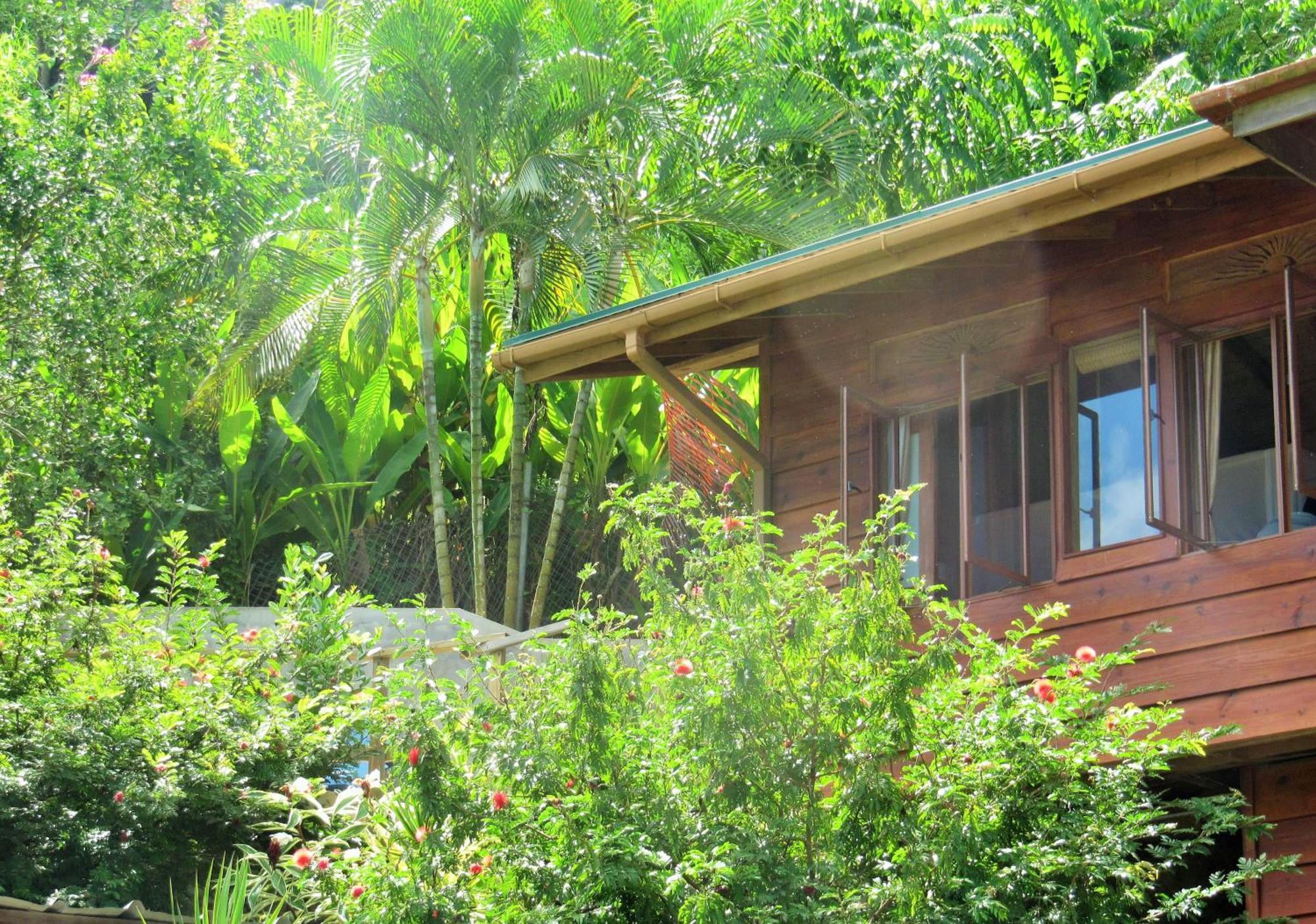 Castara Retreatsアパートメント 部屋 写真